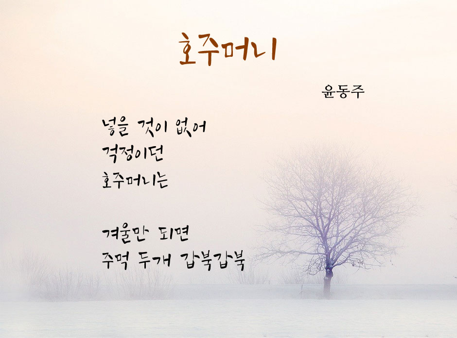 조용한 바람