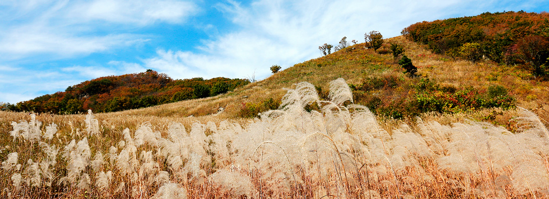 명성산(1)