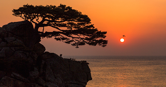 하조대 사진