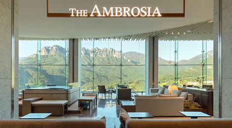 더 암브로시아 카페 사진