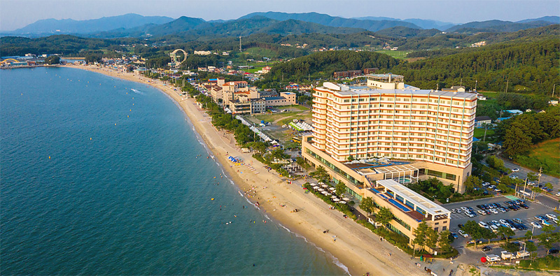 비체팰리스 전경(1)