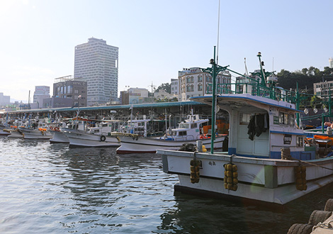 동명항 회센터 사진