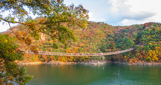 옥순봉 출렁다리 사진