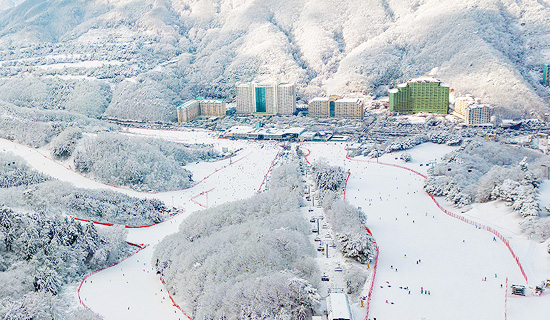 소노벨 비발디파크 전경(2)