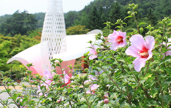 무궁화수목원(2)