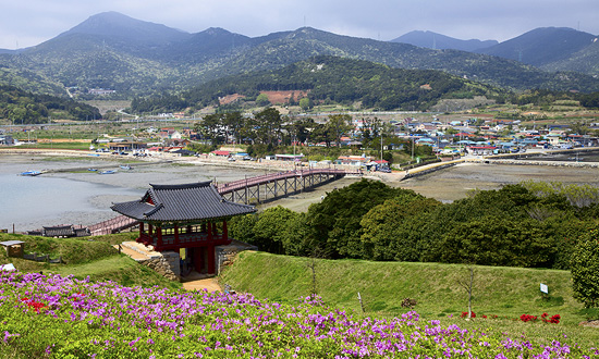 장도(1)