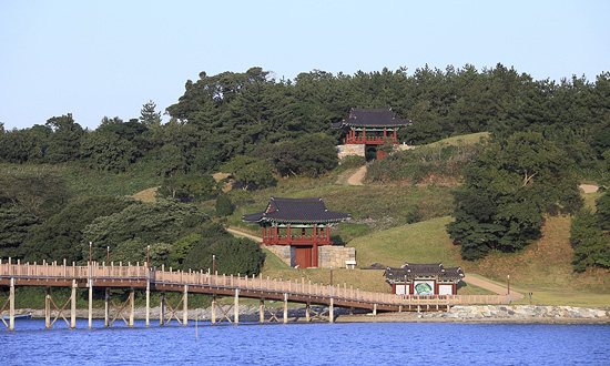 장도(2)